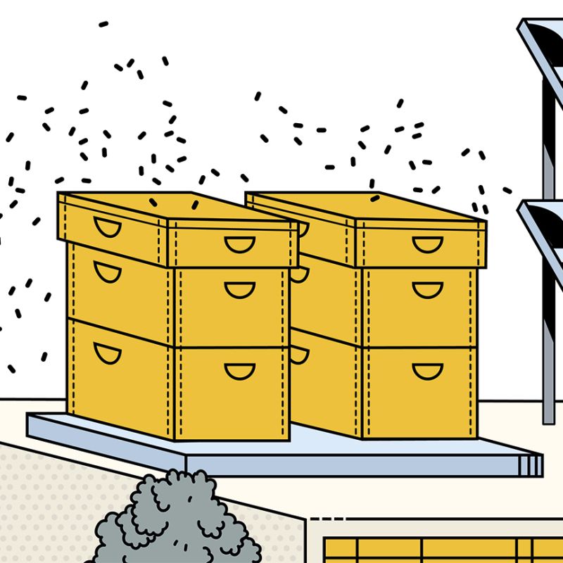 Förderung des Mikrokosmos (Bienen / Vögel)